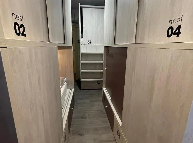 Hostal Free *